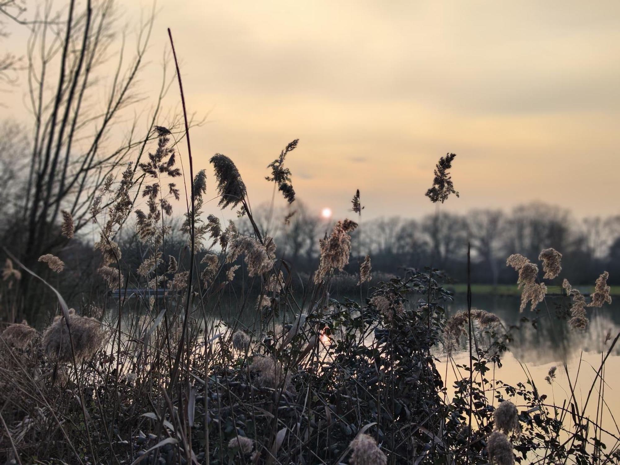 Rosnay  Domaine De La Roseliere • Nature • Brenne מראה חיצוני תמונה